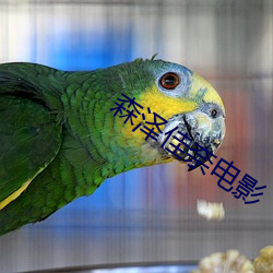 森泽佳奈电影