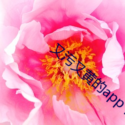 又污又黄的app下载