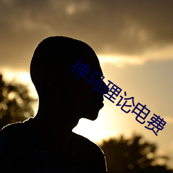 神马理论电费