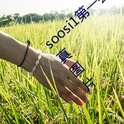 soosi1第一会所亚洲 APP97色色 gg人体写真图片