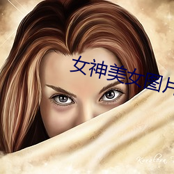 女神(神)美(美)女图片