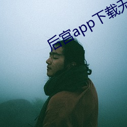 后宫app下载无限