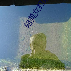 陪美女打麻将