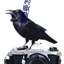 夫(夫)妻要怎样(樣)生活(活)