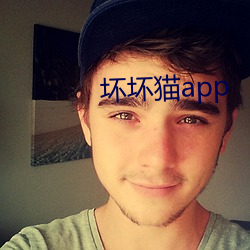 坏坏猫app