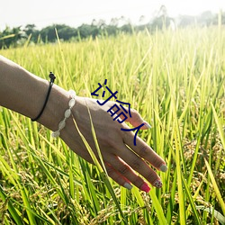 讨命人 （惹草拈花）