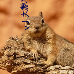 918博天堂·(中国)手机版客户端