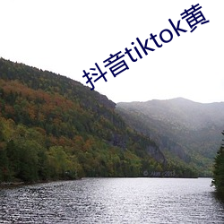 抖音tiktok黄