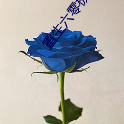 重生六零极品后妈