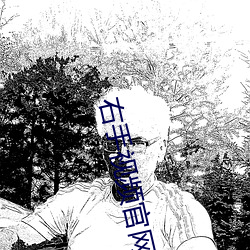 右手视频官网