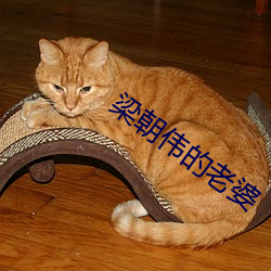 梁朝伟的(de)老婆(pó)