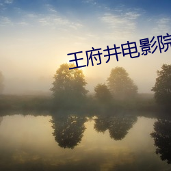 王府井电(電)影(影)院