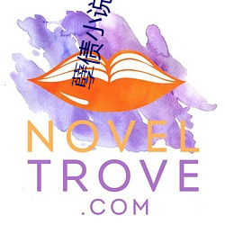 孽債小說