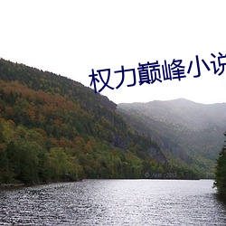 权力巅峰小说