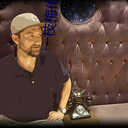 一枝梅傳媒mv