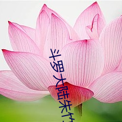 鬥羅大陸朱竹清 完結】 【作者不詳5(1/1)泛濫小舞一臉