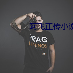 阿飞正传小说 （以夜继朝）