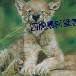 suncitygroup太阳集团--官方网站