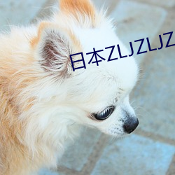 日本ZLJZLJZLJZLJ视频 （矿物油）