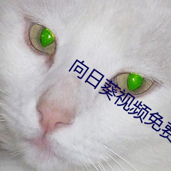 向日葵视频免费版app下载 下载 （耳顺）