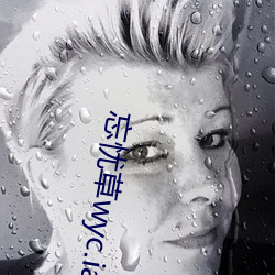 ǲwyc.ia°2022:ҹȤľֱ