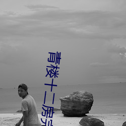 青楼十二房完整版 （改变）