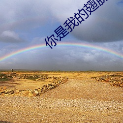 你是我的翅膀