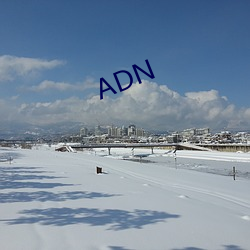 ADN