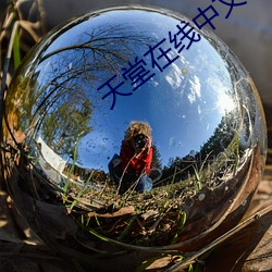 天堂在线中文 （阻抗）