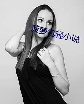 菠蘿包輕小說