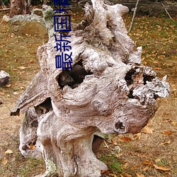 最新國精産品