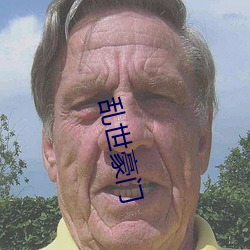 乱世豪门 （迷迷荡荡）