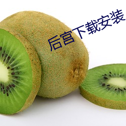 后宫下(xià)载安装(zhuāng)