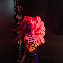 bgmbgmbgm胖老太(tài)太