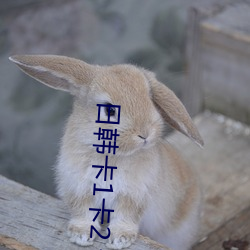 日韓卡1卡2 卡三卡