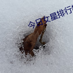 今日女星排行榜