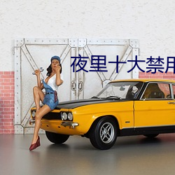 夜里十大禁(禁)用app软件黄