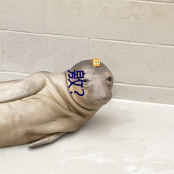 敫? （校园��