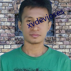 xvdevioses （潢池盗弄）