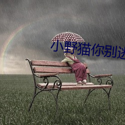 小野猫你别逃