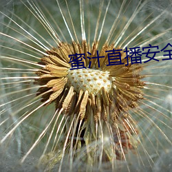 蜜汁直播安(安)全下(下)载