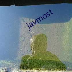 javmost