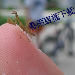 春雨直播下载app安装(裝)苹果