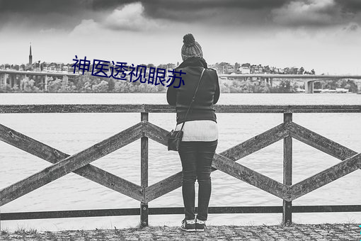 神医透视眼苏