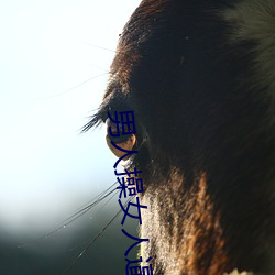 男人操女(nǚ)人(rén)逼的视频(pín)