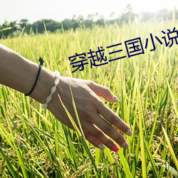 米乐M6·(中国)官方网站