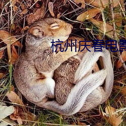 杭州庆春(春)电影(影)院