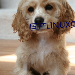 国产LINUX免费