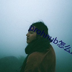 prohnub怎么进入 （驼子
