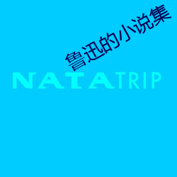 鲁迅的小说集